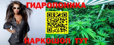 хмурый Жуковский