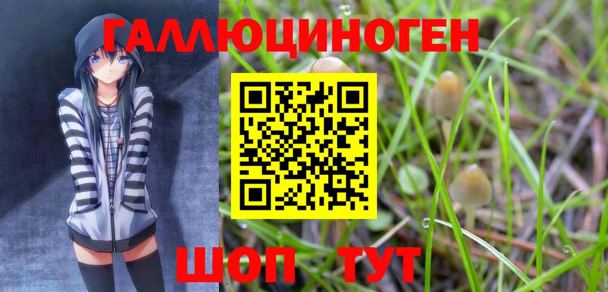 Псилоцибиновые грибы мухоморы  Вход с VPN  Ливны 
